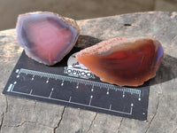 Polished On One Side Red Sashe River Agate Nodules x 20 From Zimbabwe