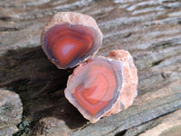 Polished On One Side Red Sashe River Agate Nodules x 20 From Zimbabwe
