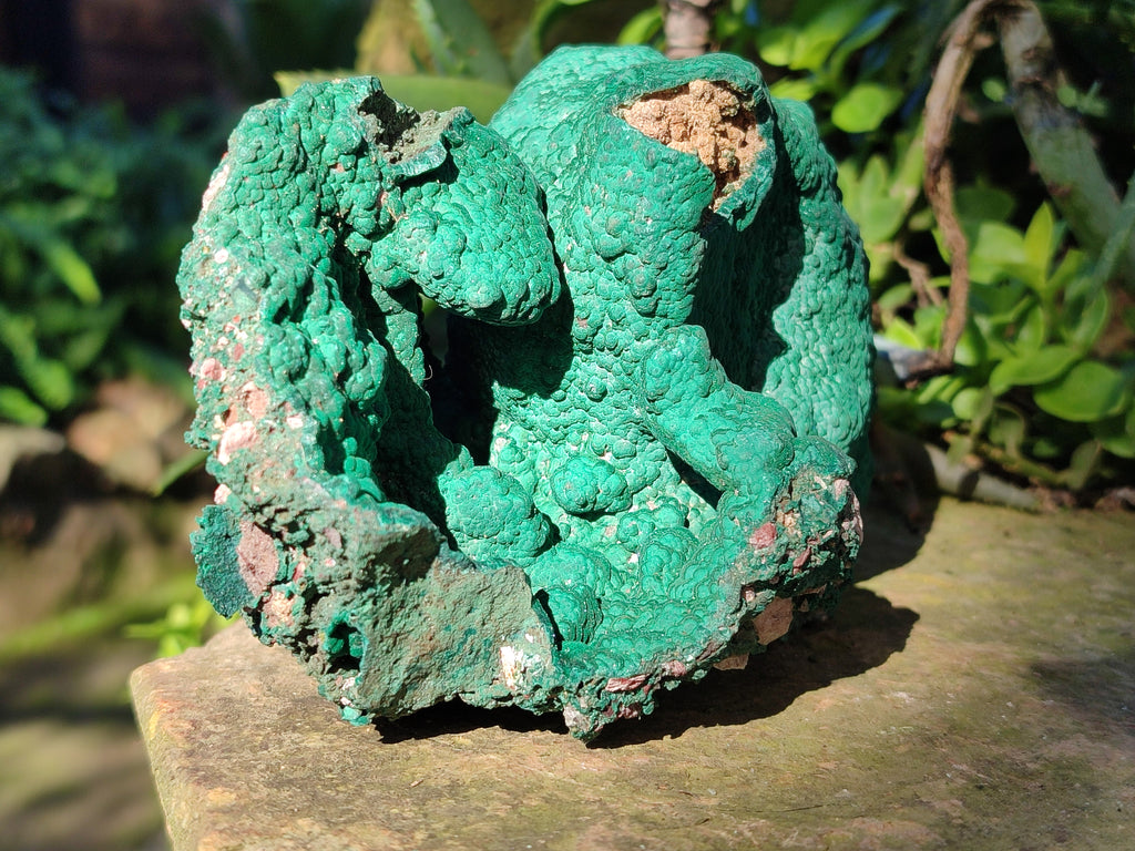 Natural Botryoidal Malachite Specimens x 1 From Kolwezi, Congo - Toprock Gemstones and Minerals 