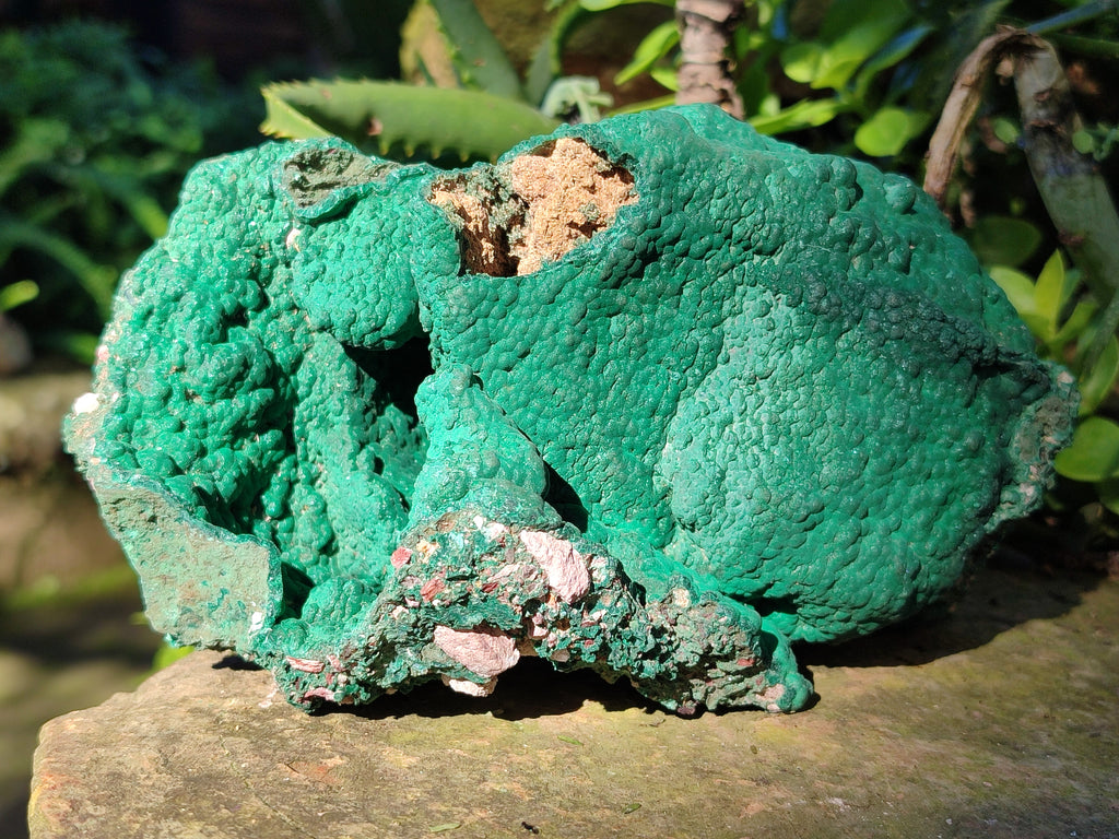 Natural Botryoidal Malachite Specimens x 1 From Kolwezi, Congo - Toprock Gemstones and Minerals 
