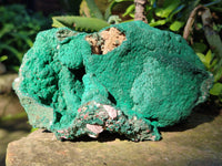 Natural Botryoidal Malachite Specimens x 1 From Kolwezi, Congo