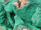 Natural Botryoidal Malachite Specimens x 1 From Kolwezi, Congo - Toprock Gemstones and Minerals 