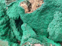 Natural Botryoidal Malachite Specimens x 1 From Kolwezi, Congo