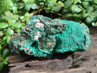 Natural Botryoidal Malachite Specimens x 1 From Kolwezi, Congo