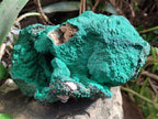 Natural Botryoidal Malachite Specimens x 1 From Kolwezi, Congo - Toprock Gemstones and Minerals 