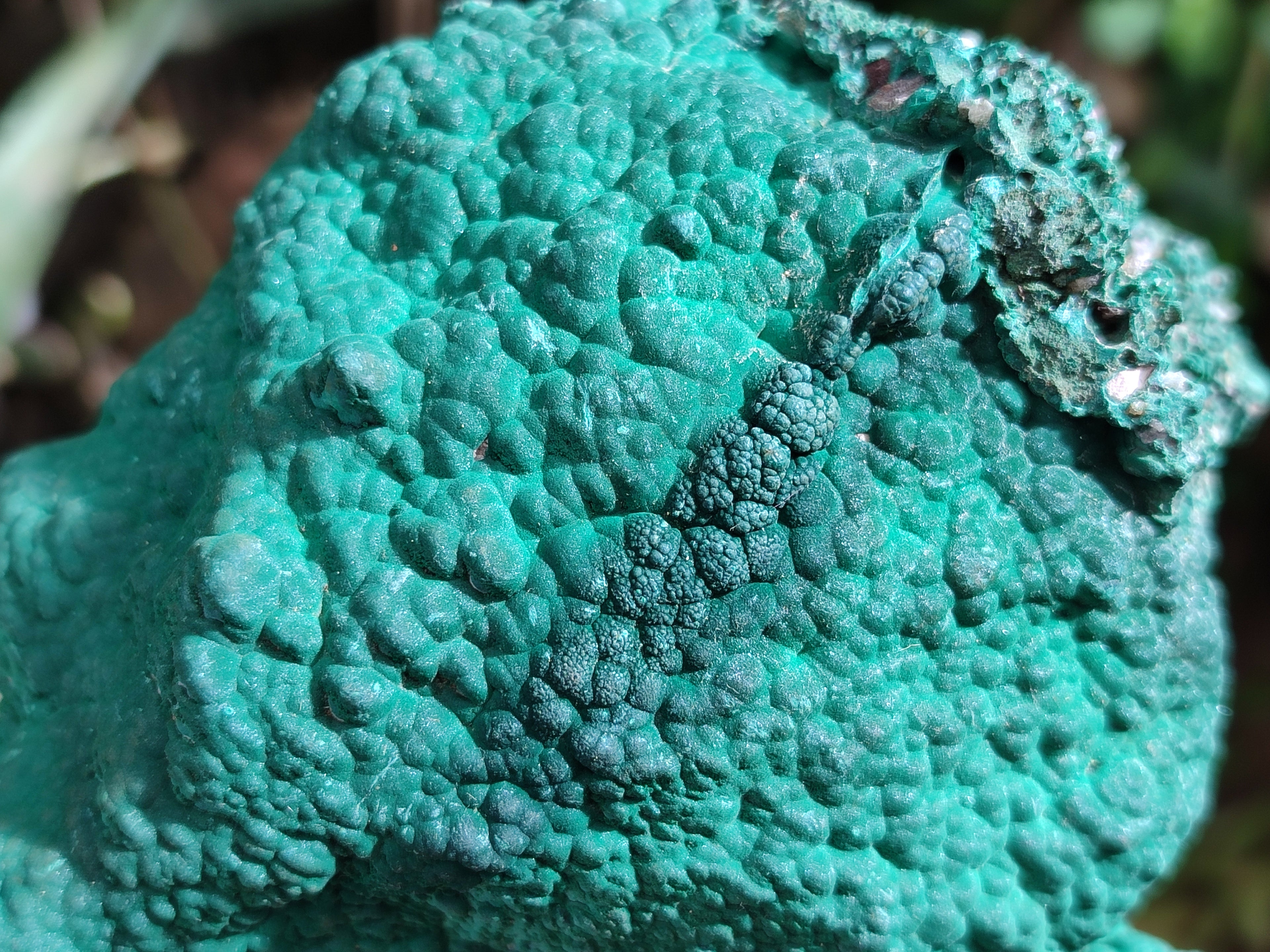 Natural Botryoidal Malachite Specimens x 1 From Kolwezi, Congo - Toprock Gemstones and Minerals 