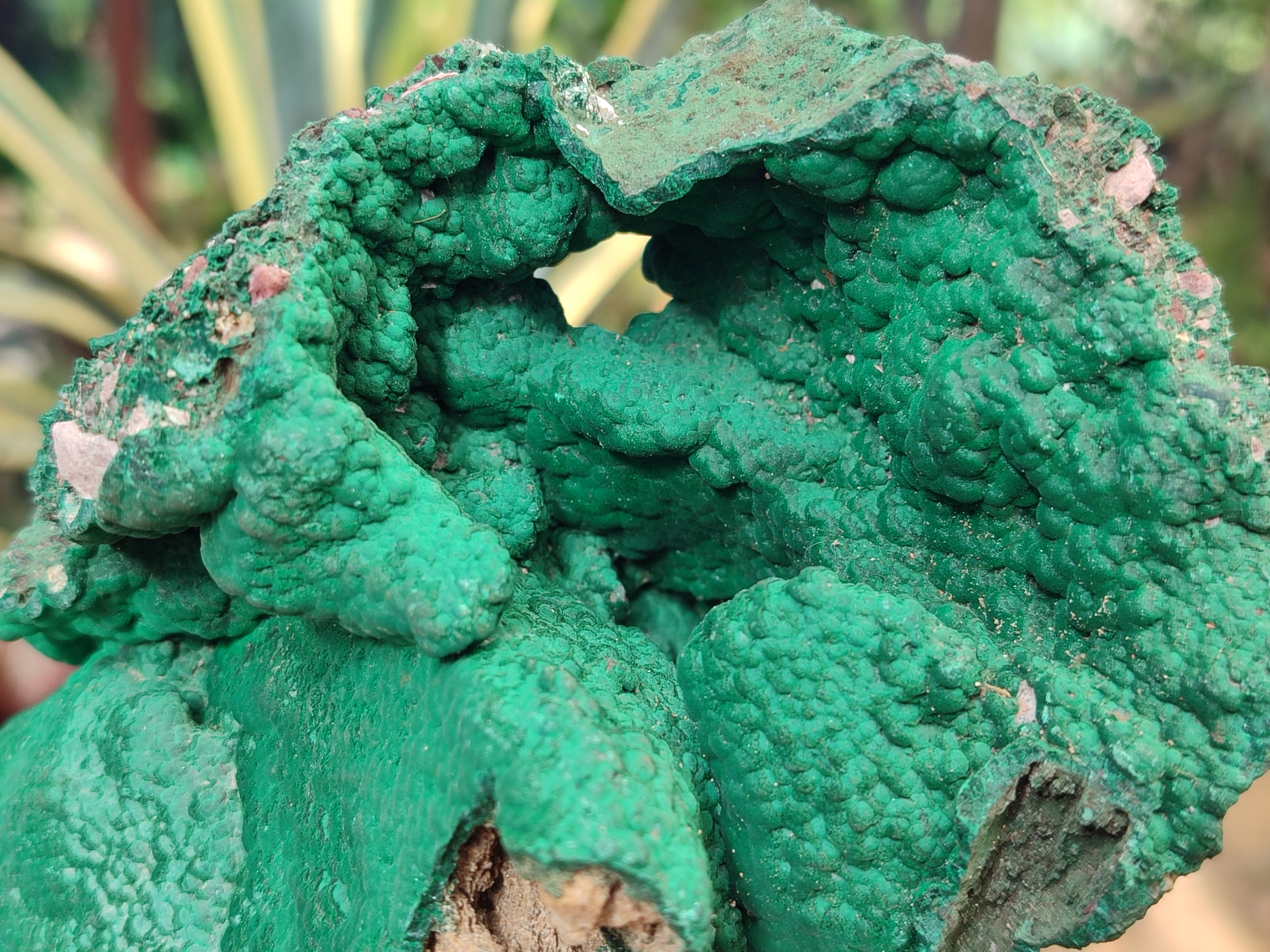 Natural Botryoidal Malachite Specimens x 1 From Kolwezi, Congo - Toprock Gemstones and Minerals 