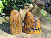 Polished Neolite Standing Free Forms x 3 From Prieska, South Africa