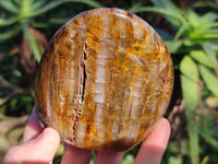 Polished Neolite Standing Free Forms x 3 From Prieska, South Africa
