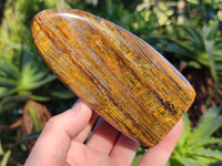 Polished Neolite Standing Free Forms x 3 From Prieska, South Africa