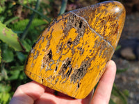 Polished Neolite Standing Free Forms x 3 From Prieska, South Africa