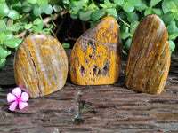 Polished Neolite Standing Free Forms x 3 From Prieska, South Africa