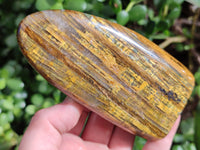 Polished Neolite Standing Free Forms x 3 From Prieska, South Africa