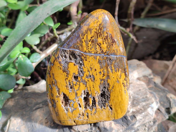 Polished Neolite Standing Free Forms x 3 From Prieska, South Africa