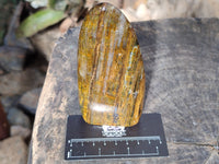 Polished Neolite Standing Free Forms x 3 From Prieska, South Africa