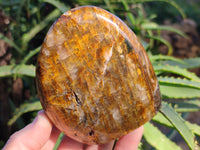 Polished Neolite Standing Free Forms x 3 From Prieska, South Africa