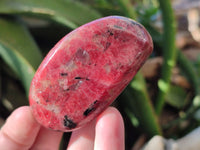 Polished Rhodonite Free Forms x 6 From Rhusinga, Zimbabwe - Toprock Gemstones and Minerals 