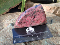Polished Rhodonite Free Forms x 6 From Rhusinga, Zimbabwe - Toprock Gemstones and Minerals 