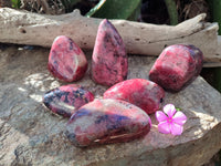 Polished Rhodonite Free Forms x 6 From Rhusinga, Zimbabwe - Toprock Gemstones and Minerals 