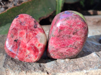 Polished Rhodonite Free Forms x 6 From Rhusinga, Zimbabwe - Toprock Gemstones and Minerals 