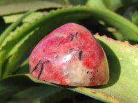 Polished Rhodonite Free Forms x 6 From Rhusinga, Zimbabwe - Toprock Gemstones and Minerals 