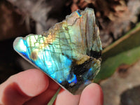 Polished On One Side Labradorite Plates x 35 From Tulear, Madagascar
