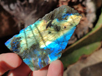 Polished On One Side Labradorite Plates x 35 From Tulear, Madagascar