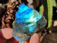 Polished On One Side Labradorite Plates x 35 From Tulear, Madagascar