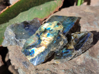 Polished On One Side Labradorite Plates x 35 From Tulear, Madagascar