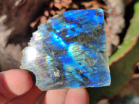 Polished On One Side Labradorite Plates x 35 From Tulear, Madagascar
