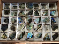 Polished On One Side Labradorite Plates x 35 From Tulear, Madagascar