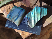 Polished On One Side Labradorite Plates x 35 From Tulear, Madagascar