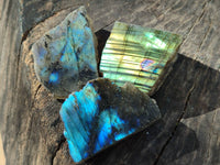 Polished On One Side Labradorite Plates x 35 From Tulear, Madagascar