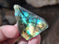 Polished On One Side Labradorite Plates x 35 From Tulear, Madagascar