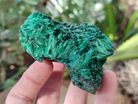 Natural Silky Malachite Specimens x 6 From Kasompe, Congo