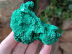 Natural Silky Malachite Specimens x 6 From Kasompe, Congo - Toprock Gemstones and Minerals 