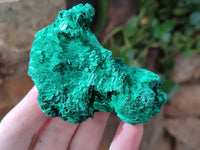 Natural Silky Malachite Specimens x 6 From Kasompe, Congo