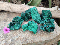 Natural Silky Malachite Specimens x 6 From Kasompe, Congo