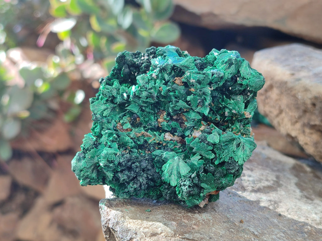 Natural Silky Malachite Specimens x 6 From Kasompe, Congo - Toprock Gemstones and Minerals 