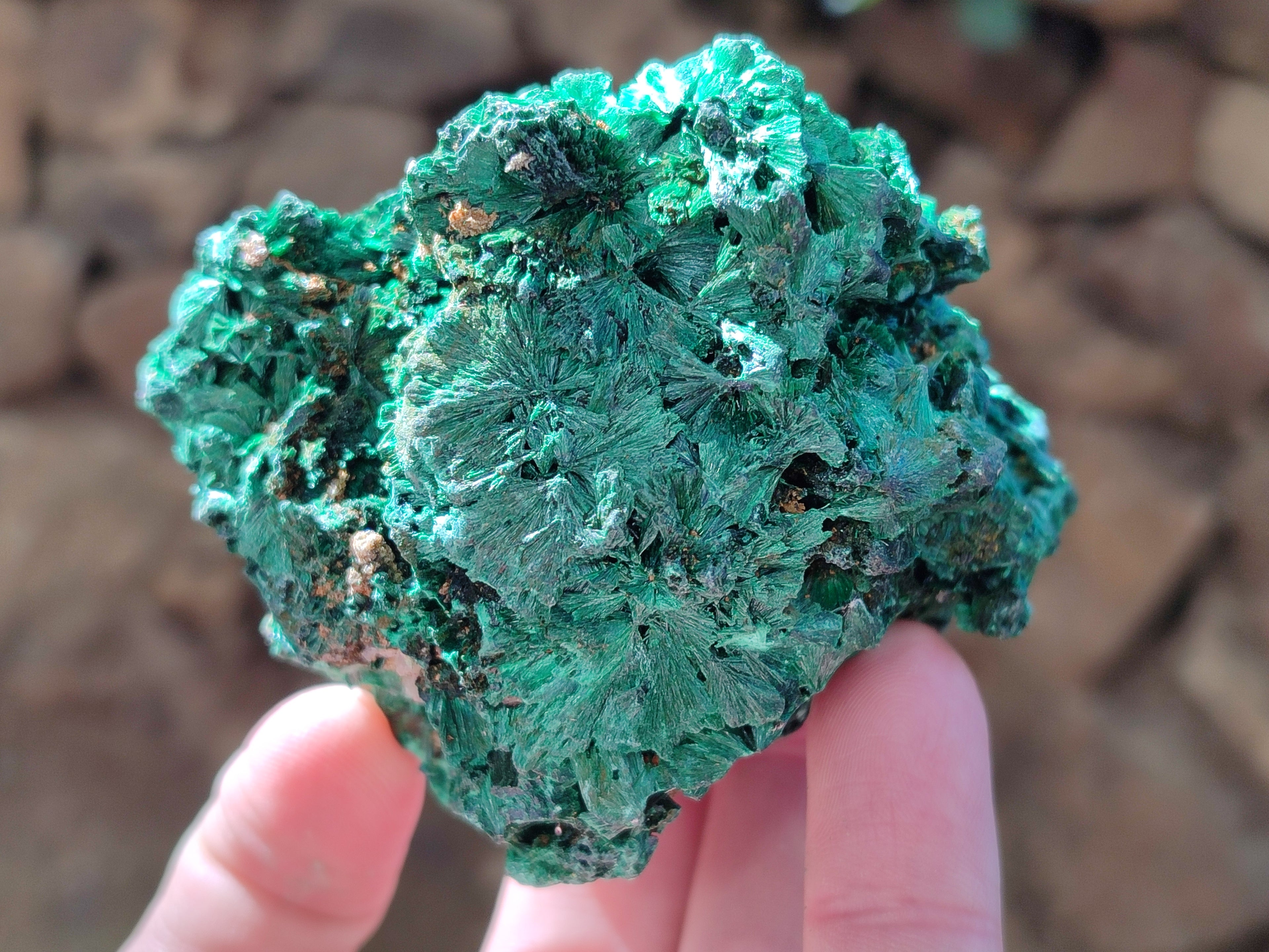 Natural Silky Malachite Specimens x 6 From Kasompe, Congo - Toprock Gemstones and Minerals 