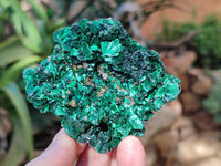 Natural Silky Malachite Specimens x 6 From Kasompe, Congo