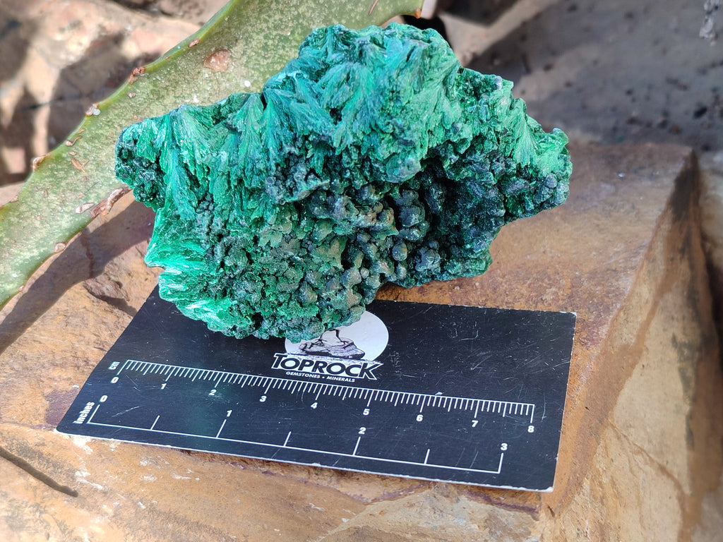 Natural Silky Malachite Specimens x 6 From Kasompe, Congo - Toprock Gemstones and Minerals 