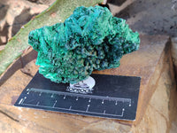 Natural Silky Malachite Specimens x 6 From Kasompe, Congo