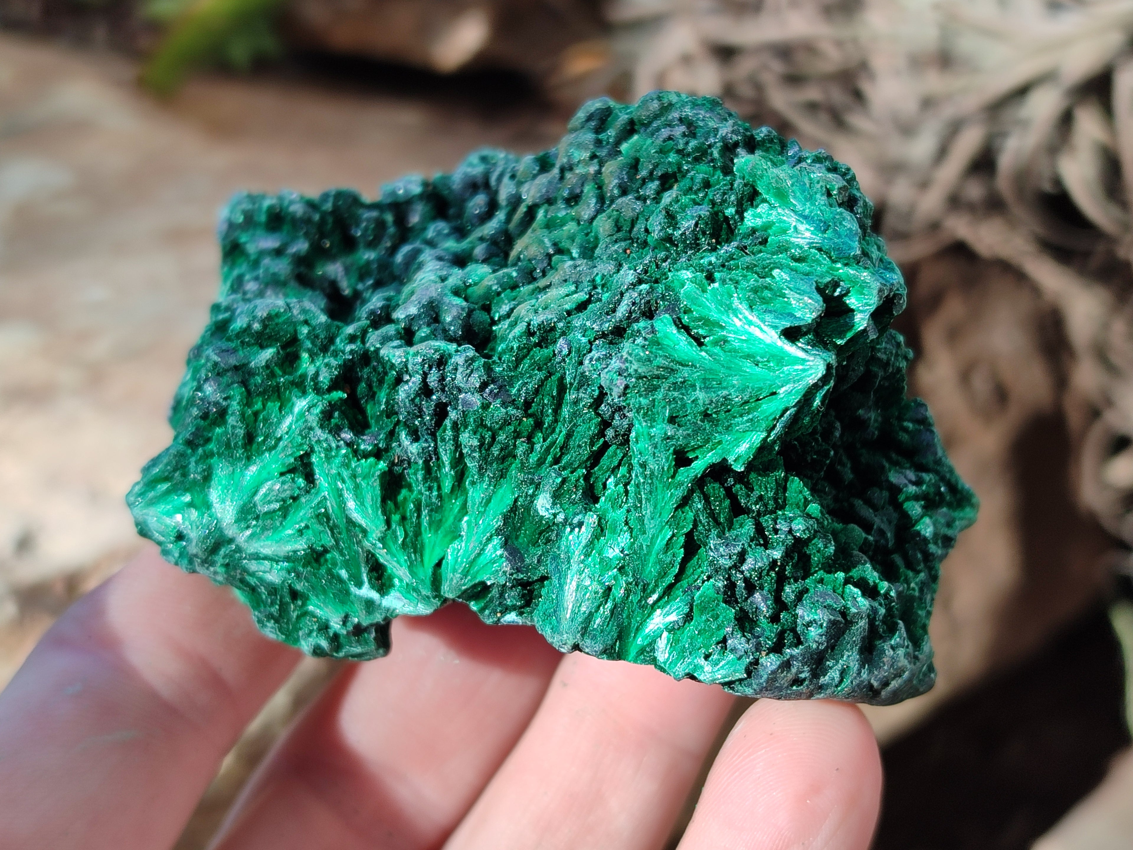 Natural Silky Malachite Specimens x 6 From Kasompe, Congo - Toprock Gemstones and Minerals 