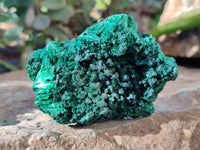 Natural Silky Malachite Specimens x 6 From Kasompe, Congo