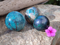 Polished Shattuckite with Malachite Spheres x 3 From Congo Free Forms x From Congo