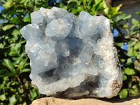 Natural Celestite Geode Specimens x 1 From Sakoany, Madagascar