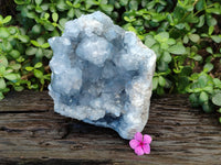 Natural Celestite Geode Specimens x 1 From Sakoany, Madagascar