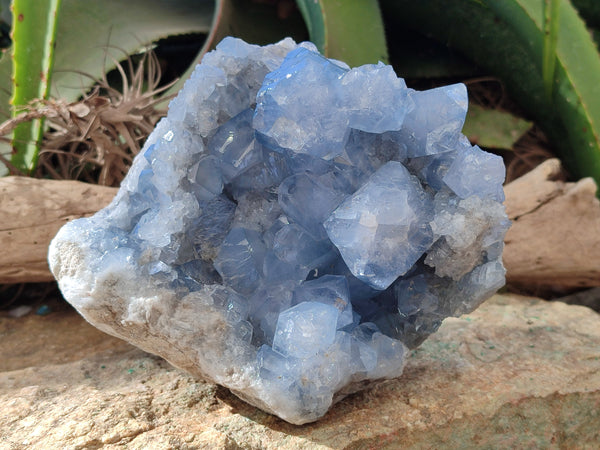 Natural Celestite Geode Specimens x 1 From Sakoany, Madagascar