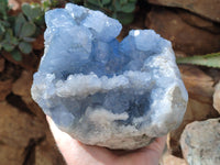 Natural Celestite Geode Specimens x 1 From Sakoany, Madagascar